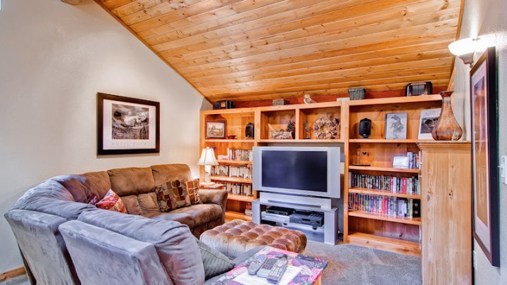 media area with couches and television