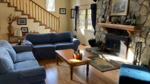 living room with stone fireplace and couches