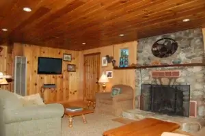 wood paneled living room with stone fireplace