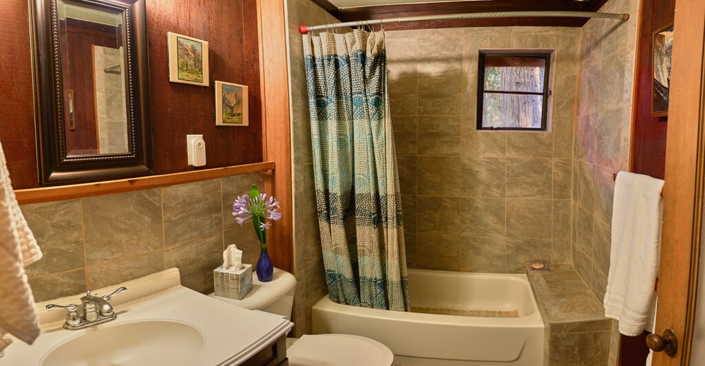 bathroom with bath tub