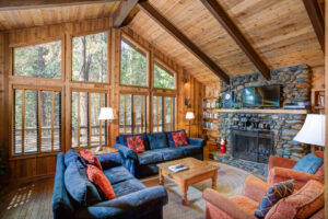 living room with stone fireplace and television