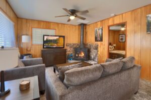 living room with fireplace, television and couches