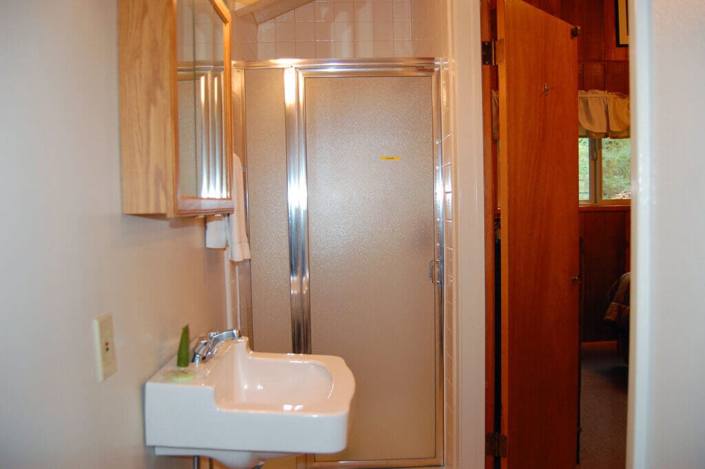 bathroom with sink and shower