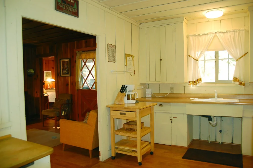 kitchen sink and cabinets