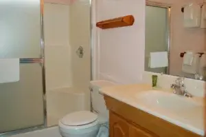 bathroom with shower, tub and vanity