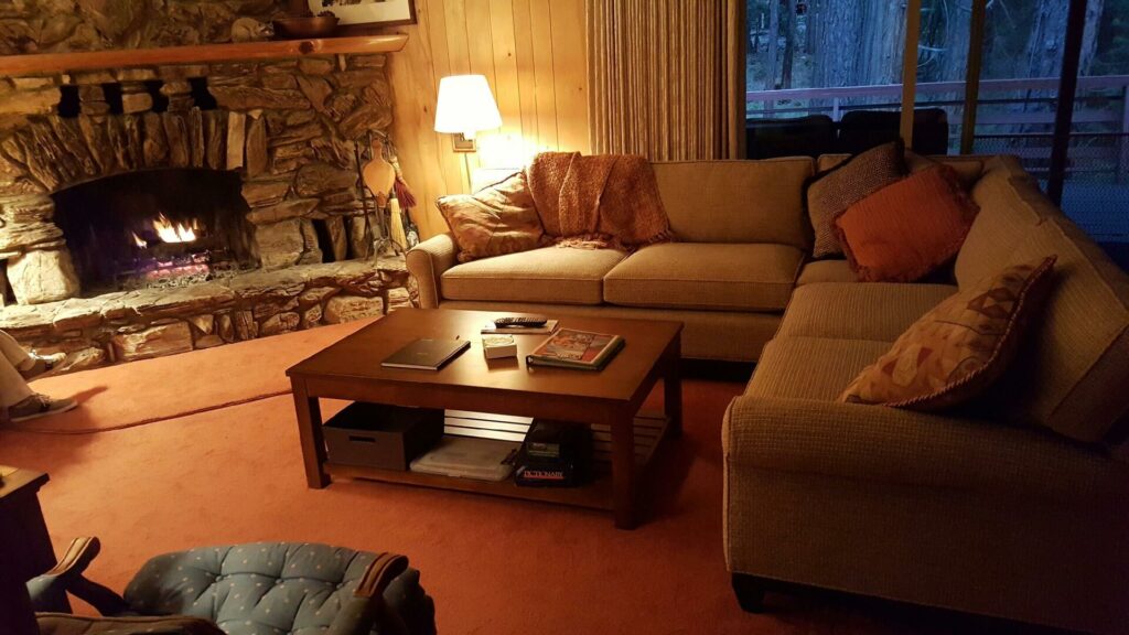 living room with cozy couches and stone fireplace