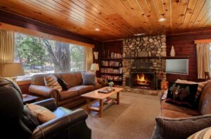 living room with stone fireplace, seating and books