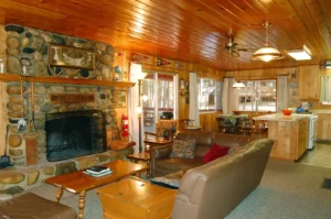 living room with fireplace and couches