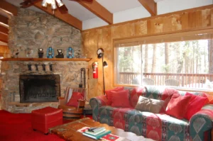 living area with stone fireplace and couches