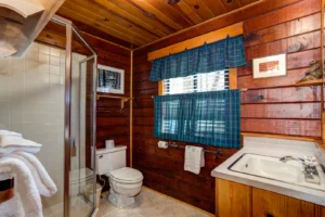 bathroom with walk in shower