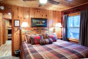 bedroom with wood paneled walls and queen bed