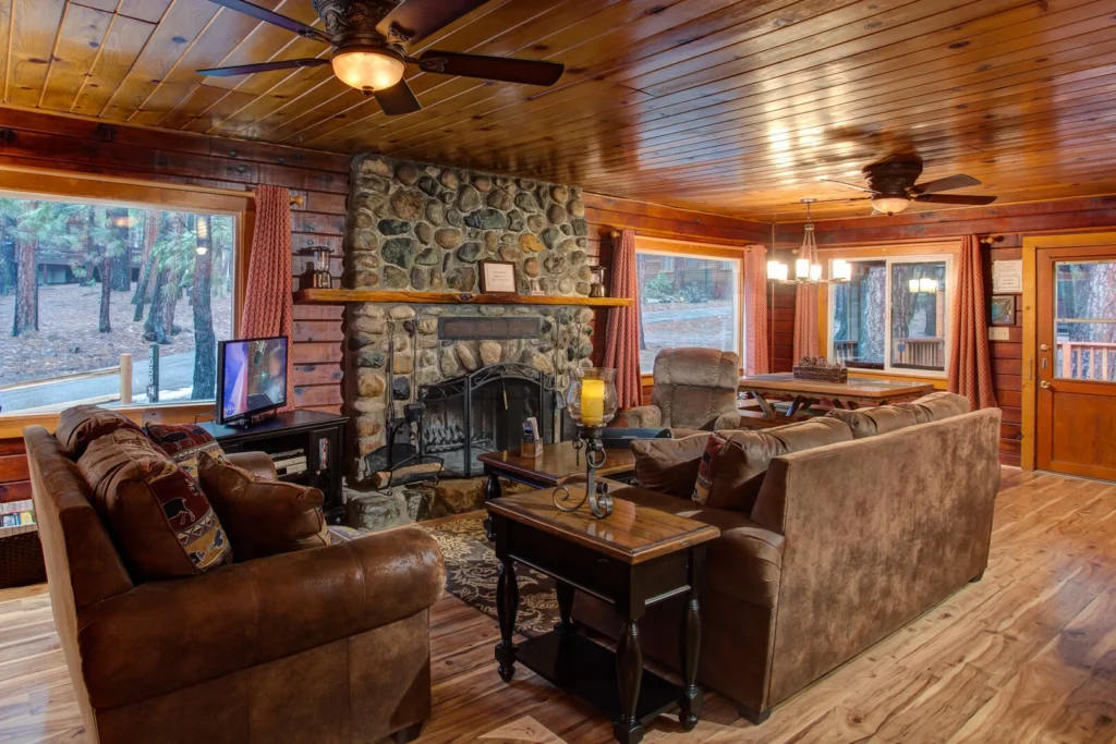 living room with stone fireplace, television, and couches