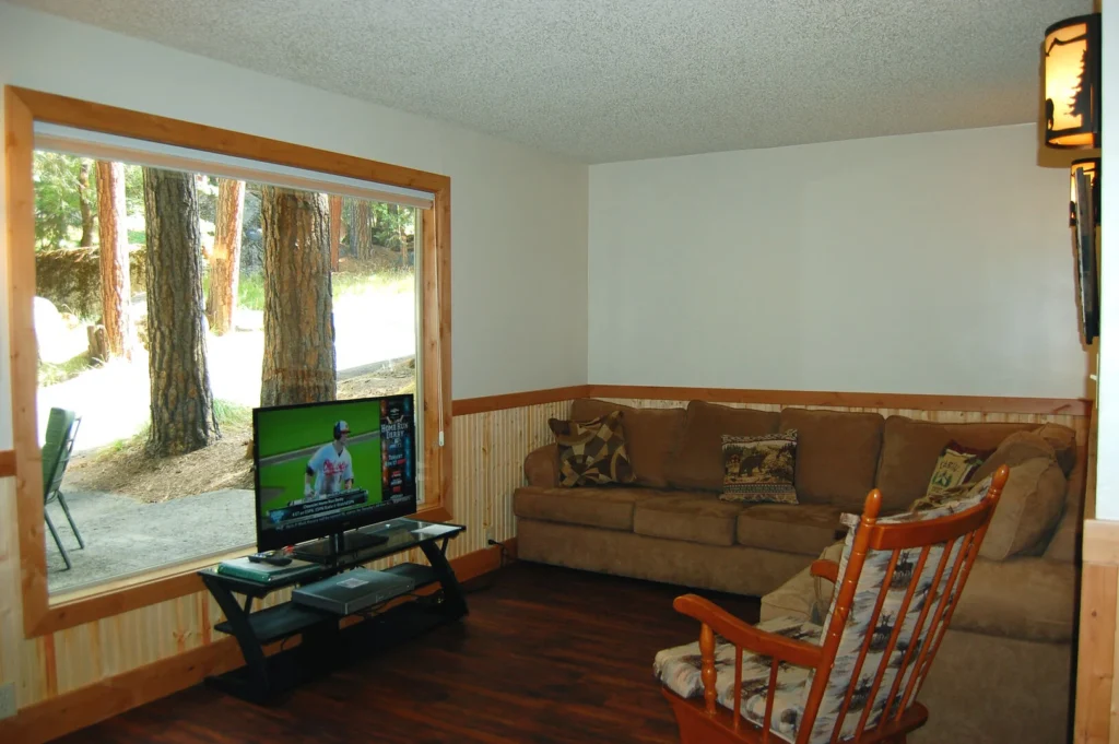 living room with couches and tv