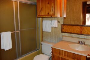 bathroom with shower tub combo