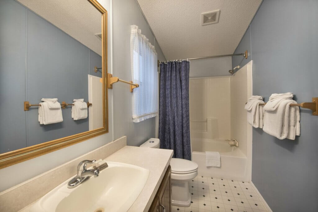 bathroom with blue accents, bathtub shower combo