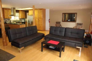 living room with sofas