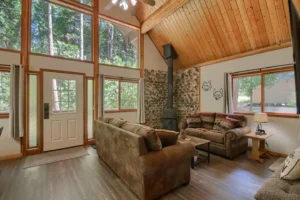 living room with wood stove and couches