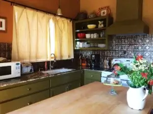 Green kitchen with open shelves