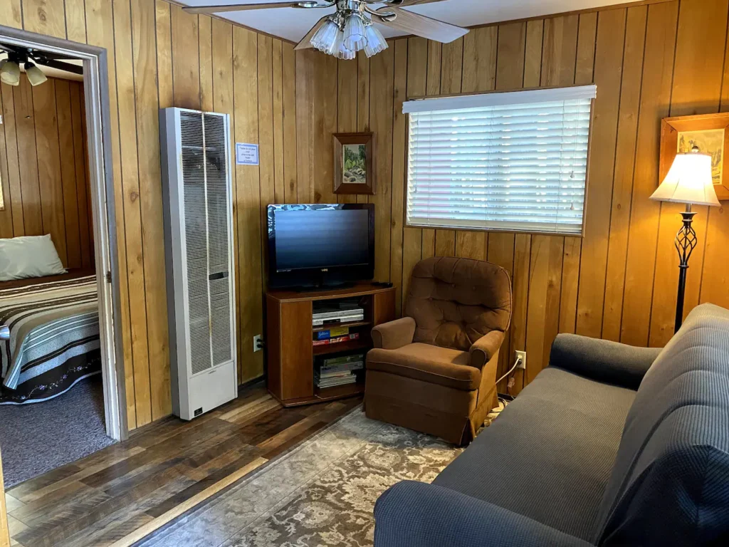 living room with television