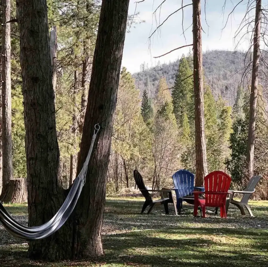 trees with hammock and chairs