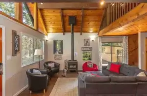 living room with wood stove and couches