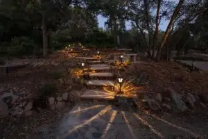 path outside at night