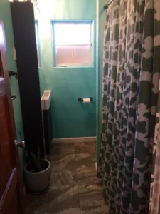 bathroom with blue walls and patterned shower curtian