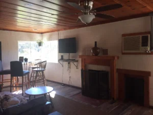 living room with television and fireplace