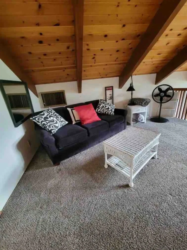loft with pull out couch