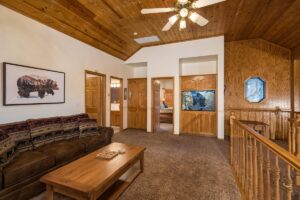 loft with television and sleeper sofa