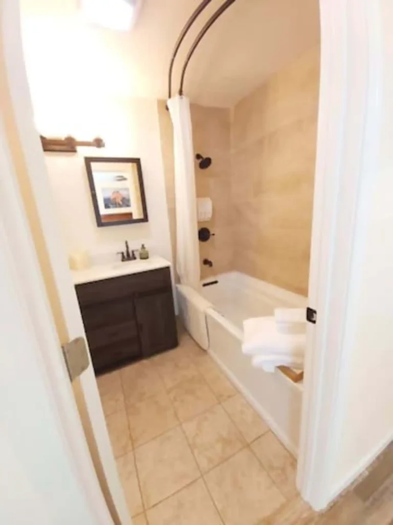 primary bathroom with tub