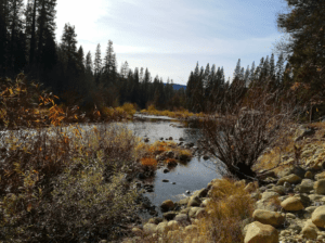 view of river