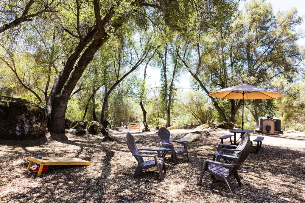 backyard view of trees and seating area