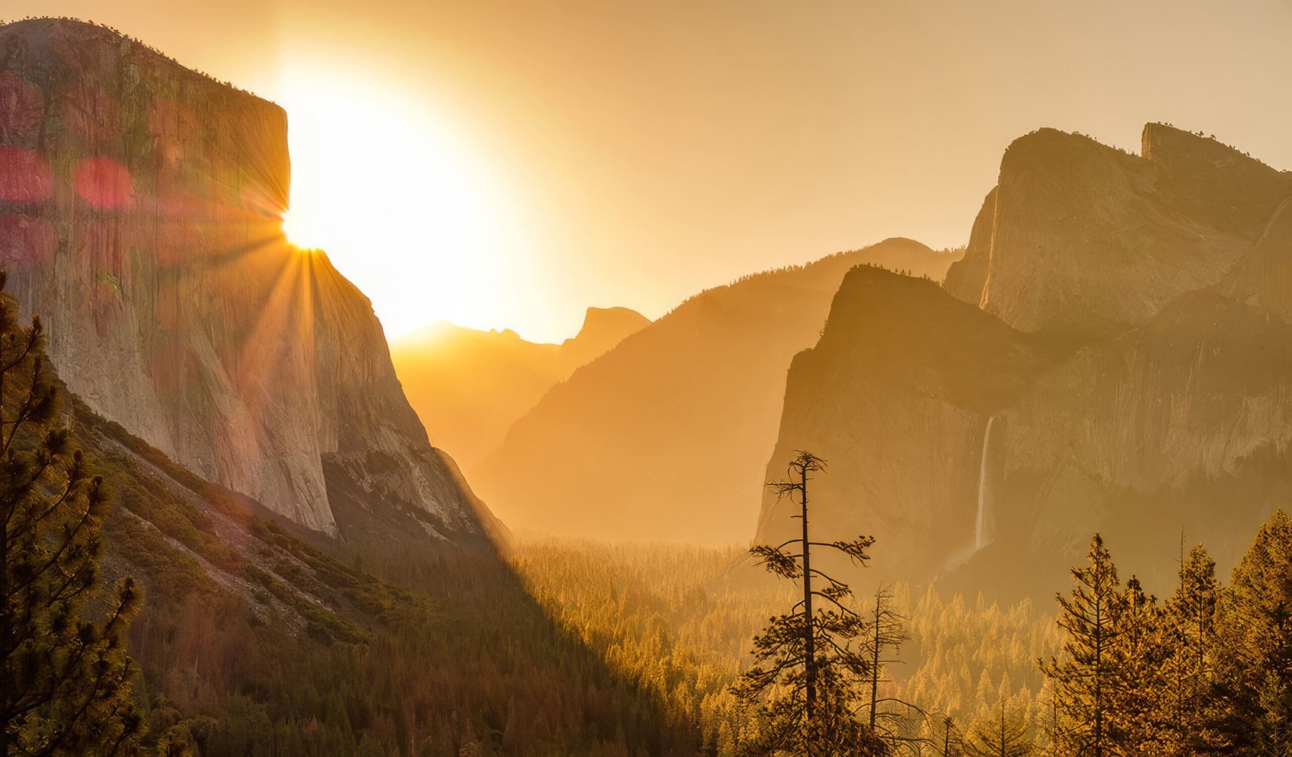 2022: What’s New in Yosemite Mariposa County