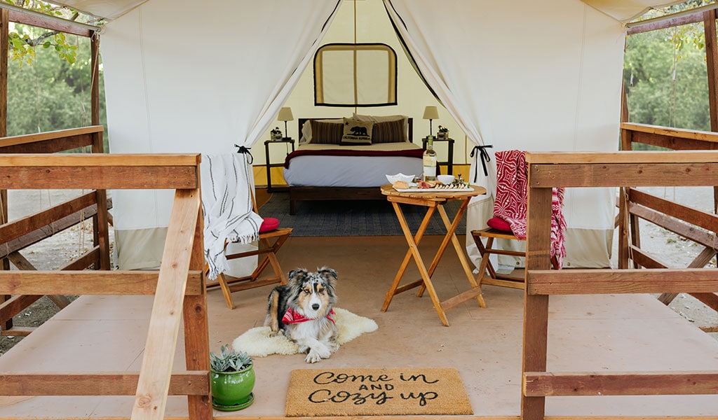 Wildhaven glamping tent cabin with dog and welcome mat