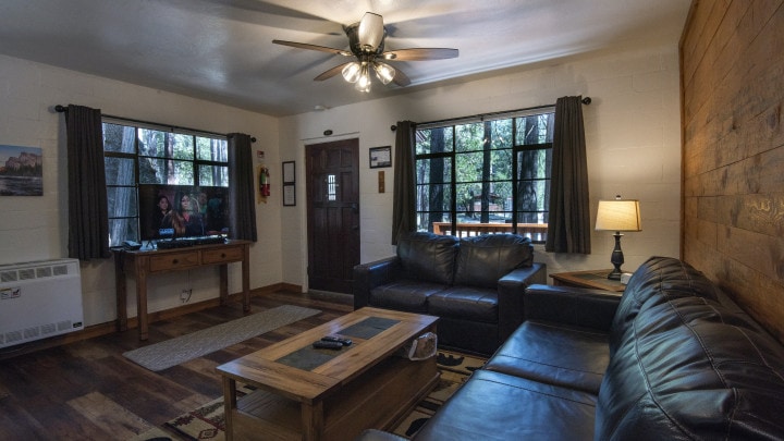 living area with couches and television