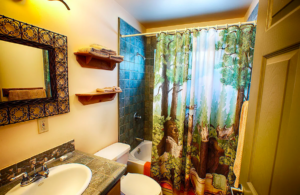 bathroom with shower tub