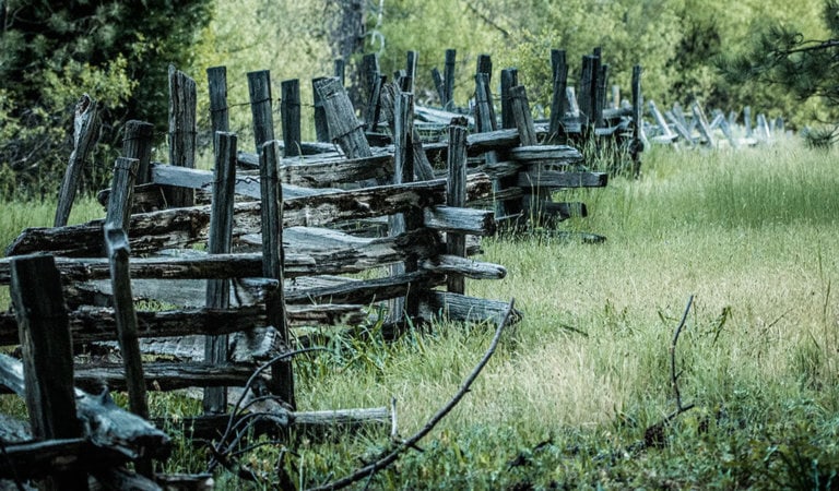 wooden fence on the wawona meadow loop trail