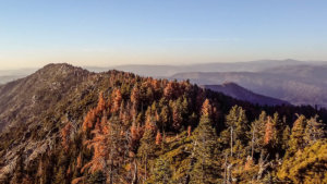 View from Devil's Peak