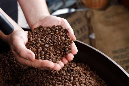 Coffee beans ready to roast at Mariposa Coffee Company