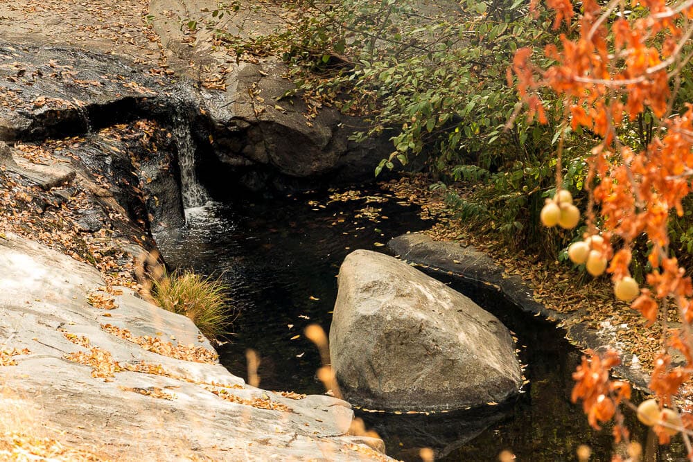 The creek runs year-round next to Kemble Road