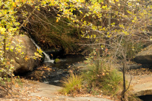 Autumn views of small cascades just off Kemble Road