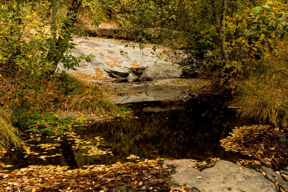 Autumn pools just off the Kemble Road