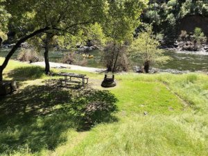 Campsite by the river at Willow Placer Campground