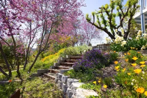 exterior steps on property