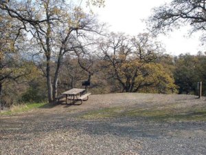 barrett cove campsite