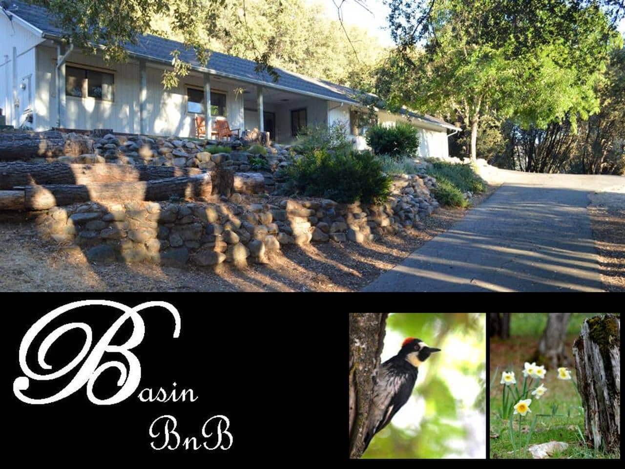 Basin Bed & Breakfast