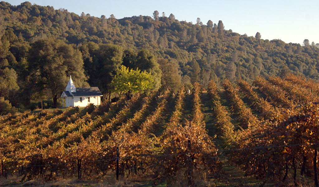 Butterfly Creek Winery