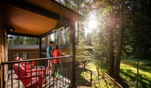 Cabin rental property near Yosemite