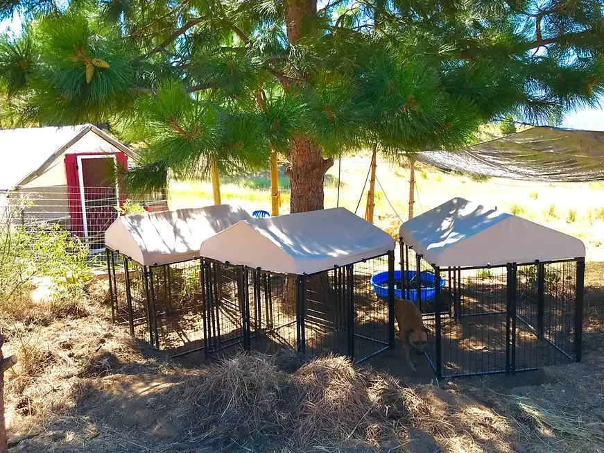 Yosemite K9 Kennels Discover Yosemite National Park
